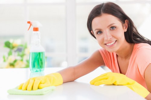 Professional carpet cleaning service for homes in E17