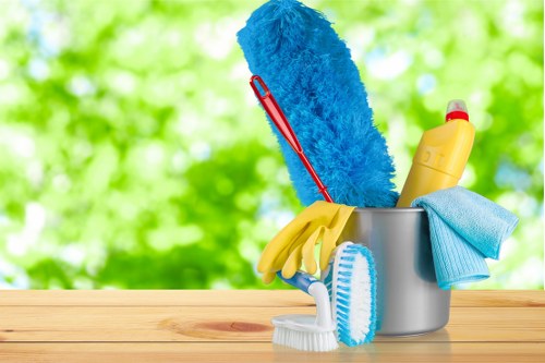 Professional one off cleaning service for an E17 home interior