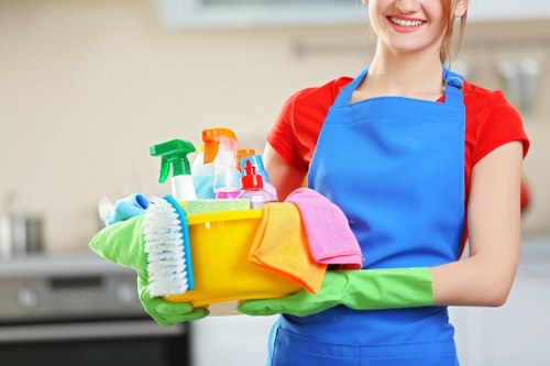 Professional rug cleaning service for E17 homes and flats