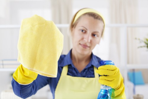 Local cleaner providing domestic cleaning in E17 homes