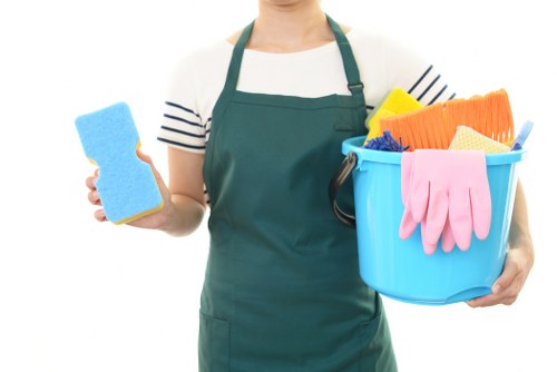 Local home cleaning service for E17 houses and flats