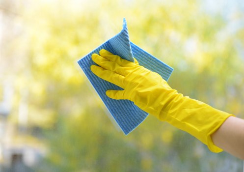 Deep cleaning process for wool and synthetic rugs in E17