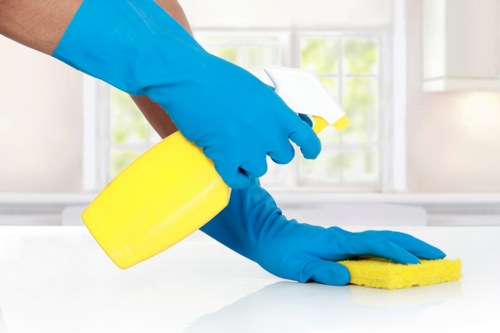 Professional cleaning service for flats and properties in E17