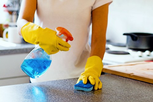 Deep cleaning support for a family bathroom in E17