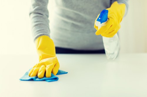 Rug and upholstery cleaning support in a living room setting