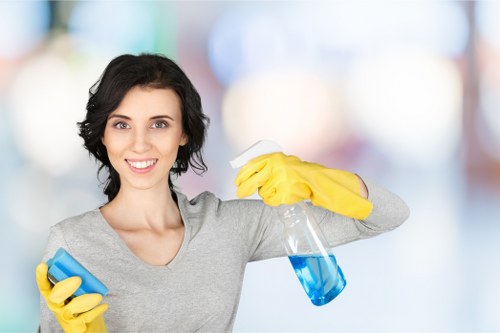 Upholstery cleaning for a family sofa in an E17 living room