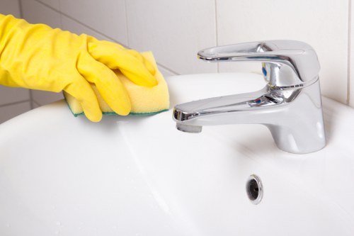 Professional domestic cleaning in an E17 kitchen and living space