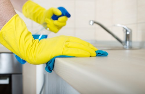 Bathroom cleaning as part of tenancy cleaning in Walthamstow E17