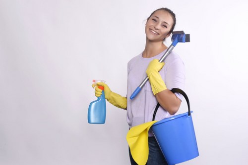 Supplier audit and due diligence process for Carpetcleaning E17