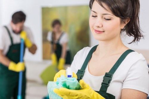 Move cleaning and tenancy cleaning for E17 properties