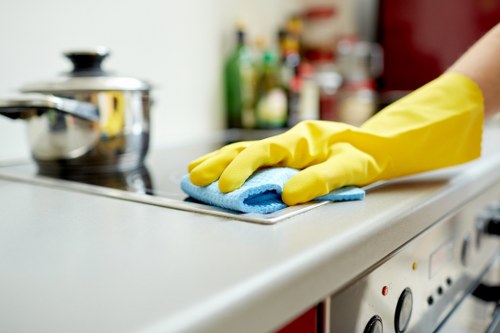 Professional cleaning support for a flat in E17