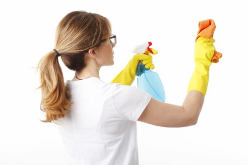 Bathroom cleaning and surface wiping for a property in E17