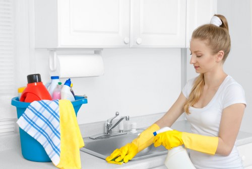 Local upholstery cleaner working in a flat near Walthamstow