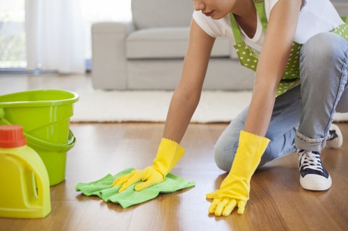 Local cleaner handling domestic tasks in E17